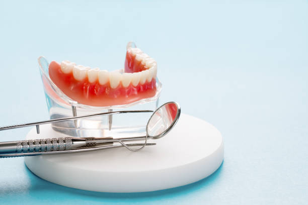 Professional  Holistic Dental Services in Bridgeport, MI